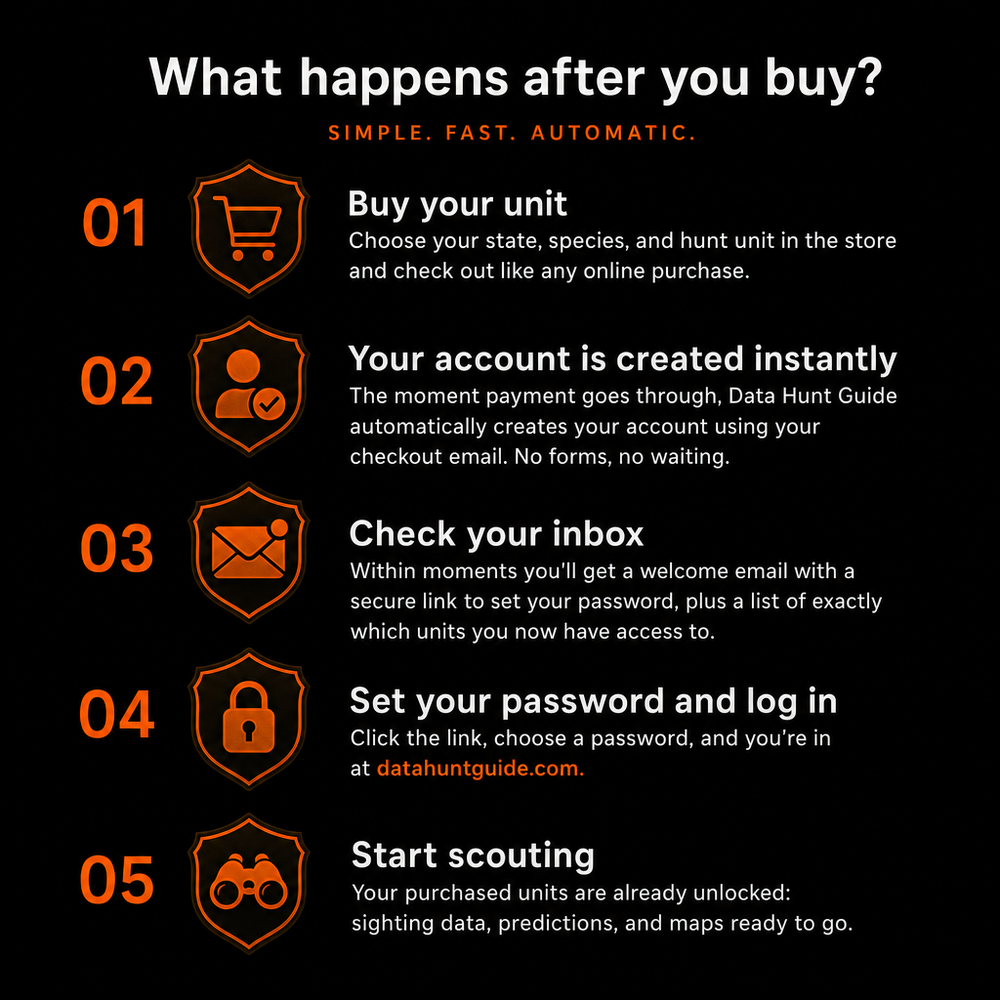 What happens after you buy: your account is created instantly, check your inbox, set your password, and start scouting