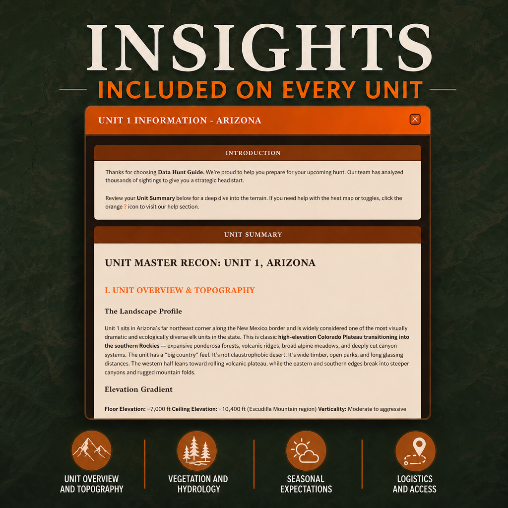 Insights