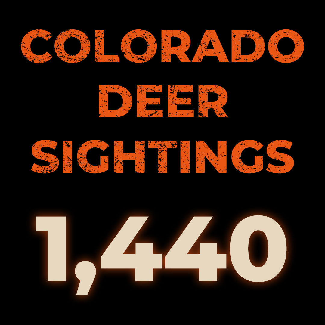 Colorado - Deer
