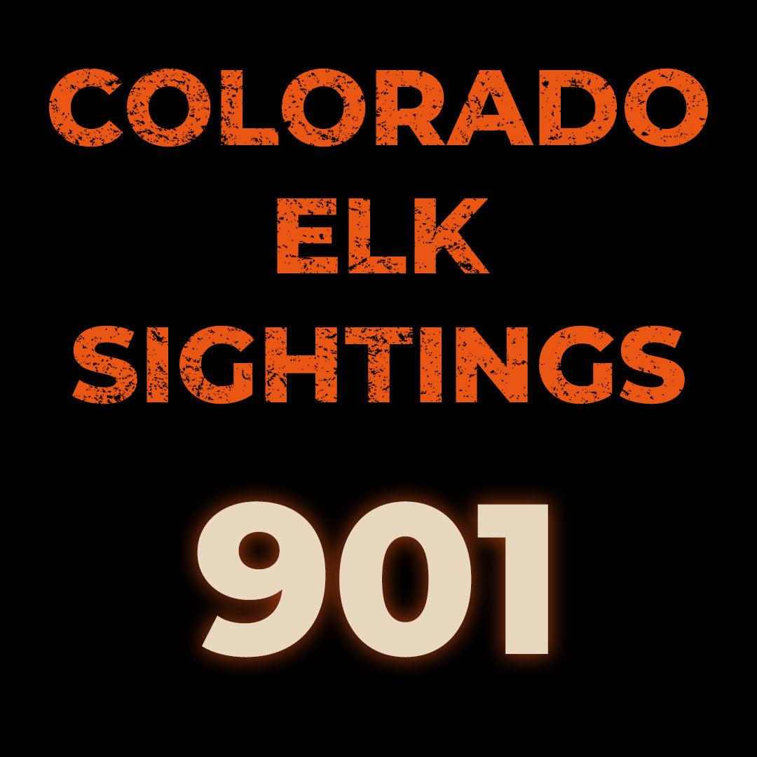Colorado - Elk