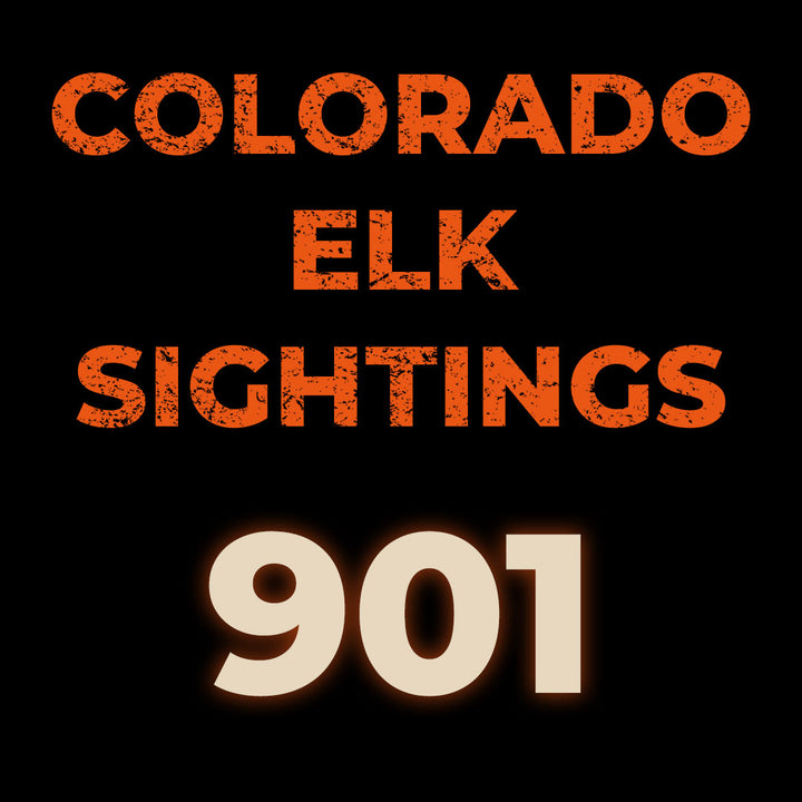 Colorado - Elk