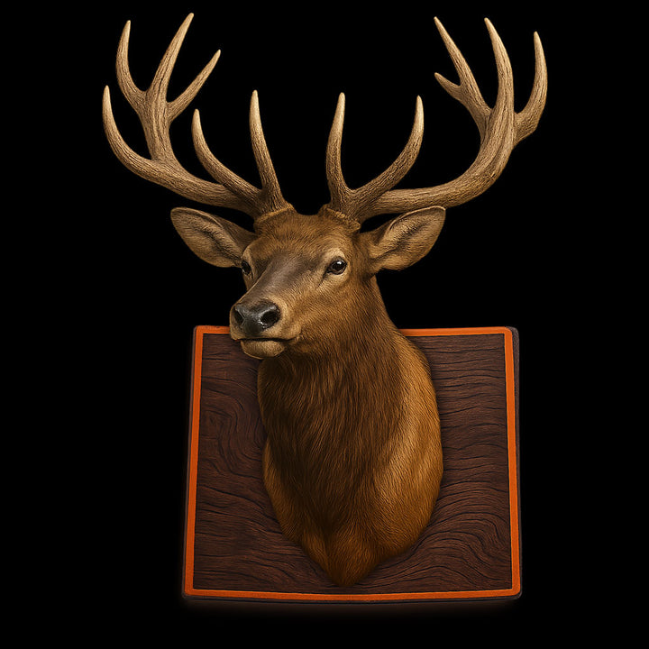 Colorado - Elk
