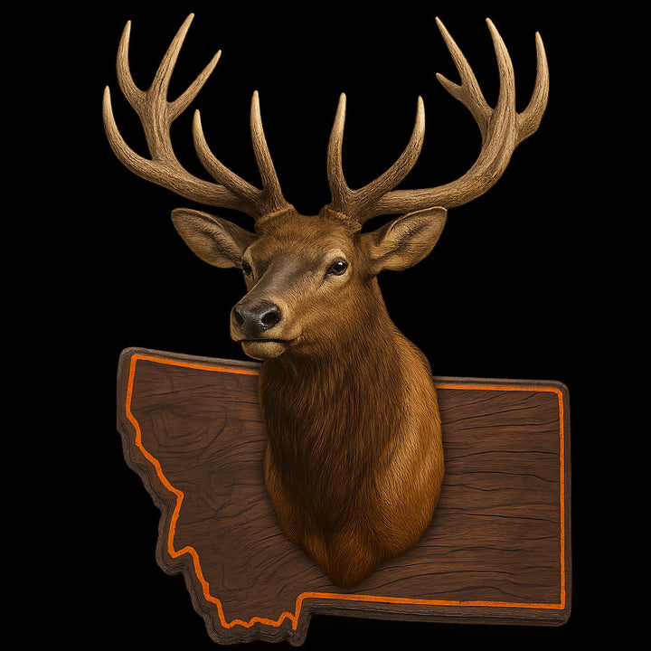Montana - Elk