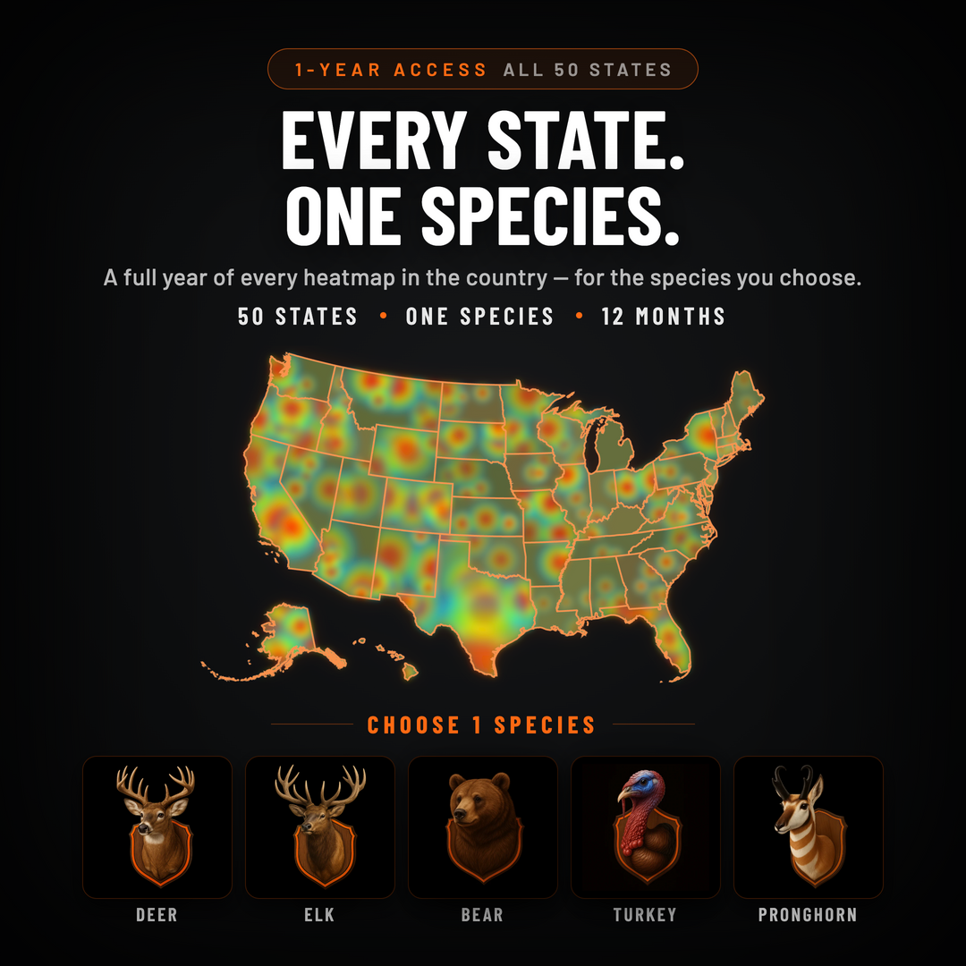 All-State Single Species (1-Year)
